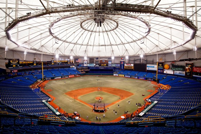 Tropicana Field roof damage and repair