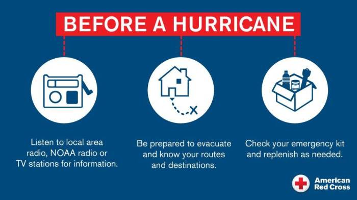 Disney World Hurricane Milton safety precautions